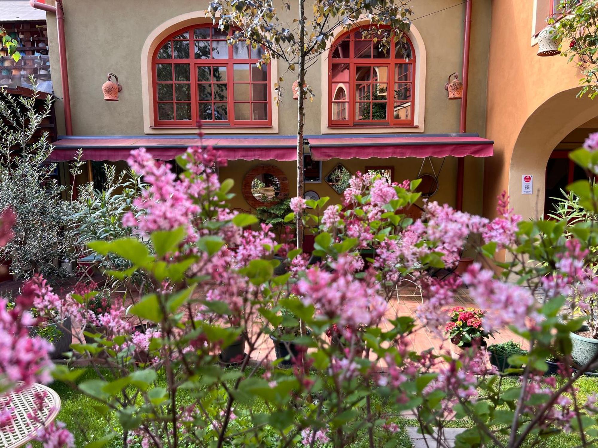 Muzikafe - Home Of Culture Ptuj Luaran gambar