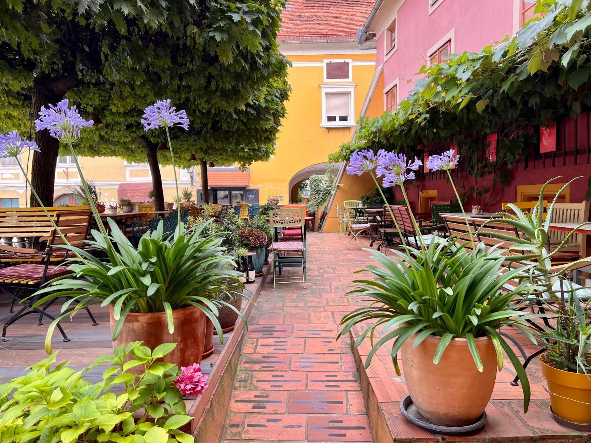 Muzikafe - Home Of Culture Ptuj Luaran gambar